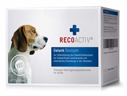 RECOACTIV® Gelenk Tonicum für Hunde, Gelenk Diät Nahrungsergänzungsmittel für Hunde, 3 x 90 ml, Ergänzungsmittel zur Rekonvaleszenz bei stark beanspruchten Gelenken oder zur Vorbeugung - 1
